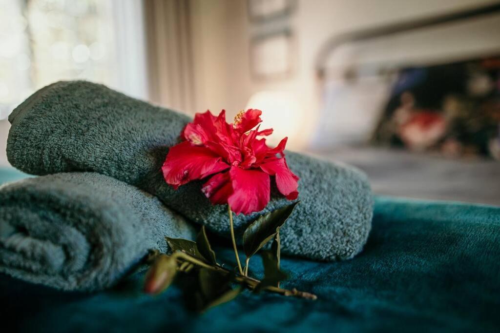 Classic Greyton Cottage For Two ภายนอก รูปภาพ