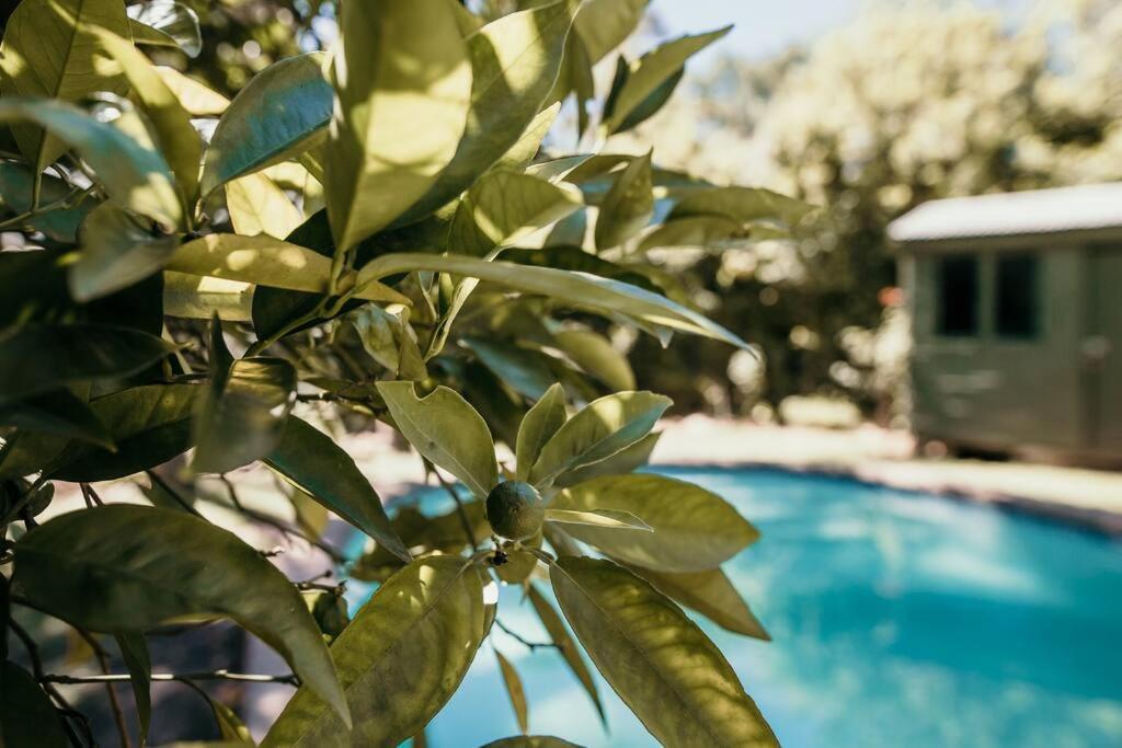 Classic Greyton Cottage For Two ภายนอก รูปภาพ